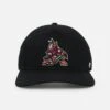 '47 BRAND 47 Brand Arizona Coyotes Mesh '47 Hitch Trucker Snapback Black/Team -Culture Kings 01031574 YE147 default 000010