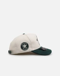 Pro Standard Houston Astros 'Tapestry 2.0' Pinch Front Strapback Dark Green -Culture Kings 01036976 YD009 default 0040