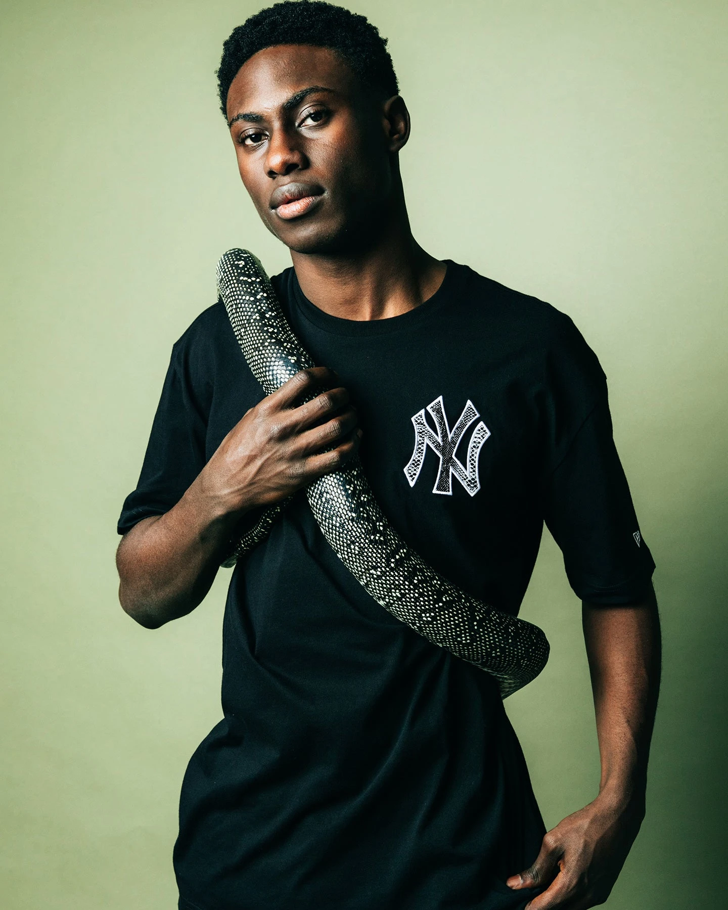 New Era New York Yankees Snake Oversized T-Shirt Black 3 New Era New York Yankees Snake Oversized T-Shirt Black