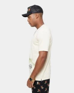 Carre Ament Vintage Classic Short Sleeve T-Shirt Washed Stone -Culture Kings 02032417 YW724 mens 0030