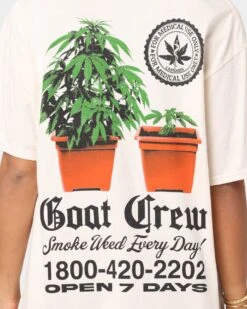 Goat Crew Chemist Vintage T-Shirt Off White -Culture Kings 02034615 YO007 womens 0040