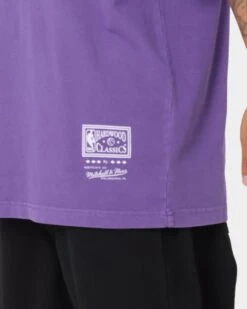 Mitchell & Ness Phoenix Suns Steve Nash Oversized T-Shirt Faded Purple -Culture Kings 02040340 YF432 mens 0090