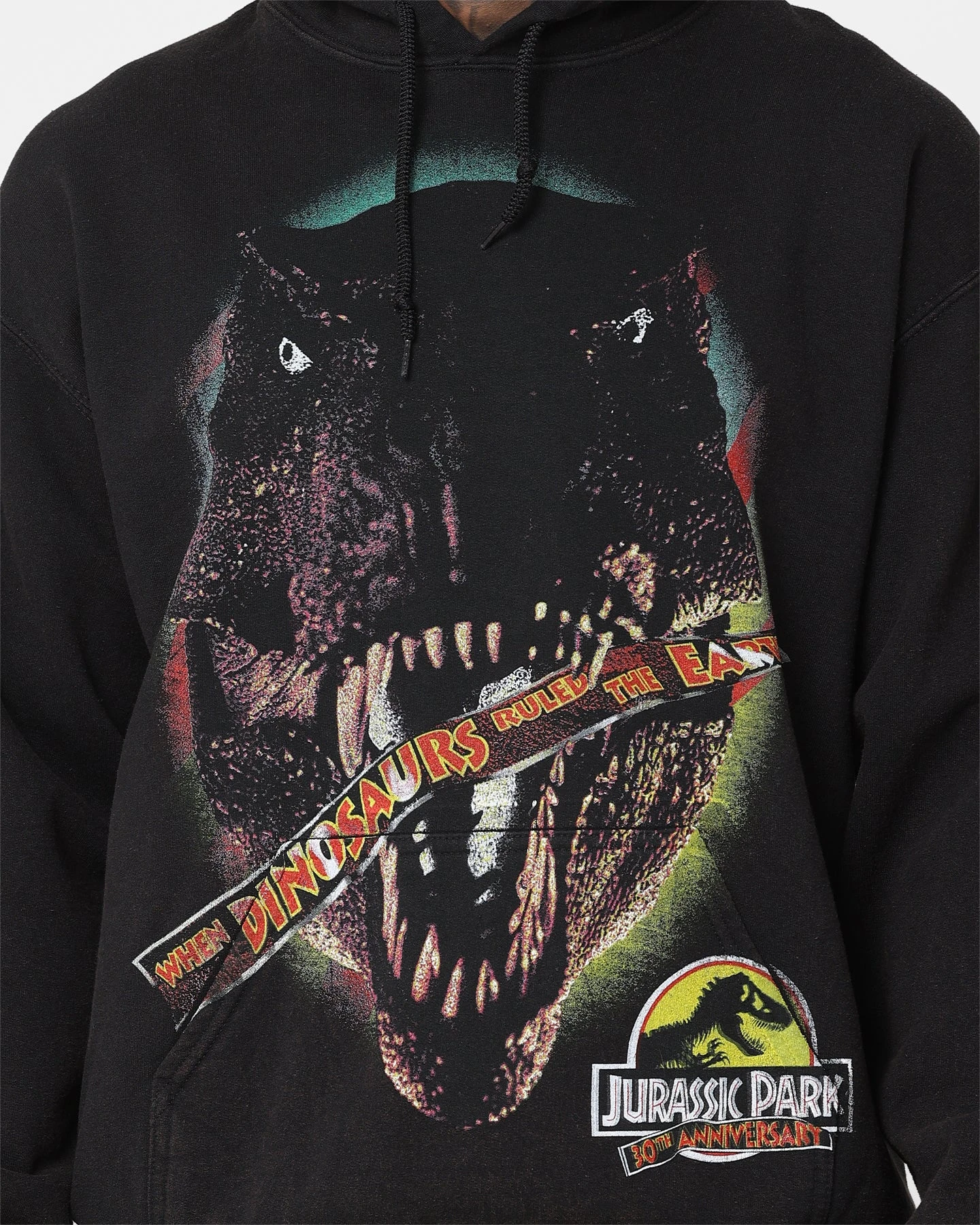 American Thrift X Jurassic Park 30th Anniversary Hoodie Black Wash 6 American Thrift X Jurassic Park 30th Anniversary Hoodie Black Wash - Image 4