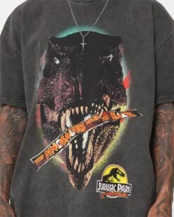 American Thrift X Jurassic Park 30th Anniversary Heavyweight Vintage T-Shirt Black Wash -Culture Kings 02046072 YB295 mens 0040
