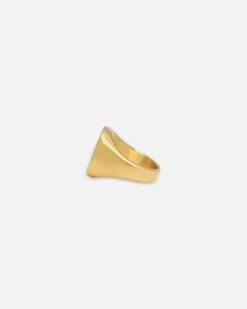 NXS Rose Signet Ring Gold/Black -Culture Kings 09001261 YG201 default 0050