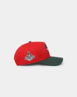 '47 BRAND 47 Brand Anaheim Ducks 'Scarlet Pines' MVP DT Snapback Red/Dark Green -Culture Kings 196505810807 default 0030