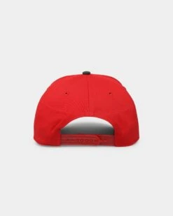 '47 BRAND 47 Brand New Jersey Devils 'Scarlet Pines' MVP DT Snapback Red/Dark Green -Culture Kings 196505810814 default 0020