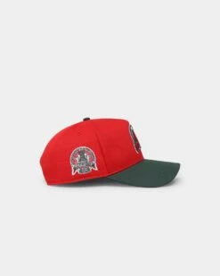 '47 BRAND 47 Brand New Jersey Devils 'Scarlet Pines' MVP DT Snapback Red/Dark Green -Culture Kings 196505810814 default 0030